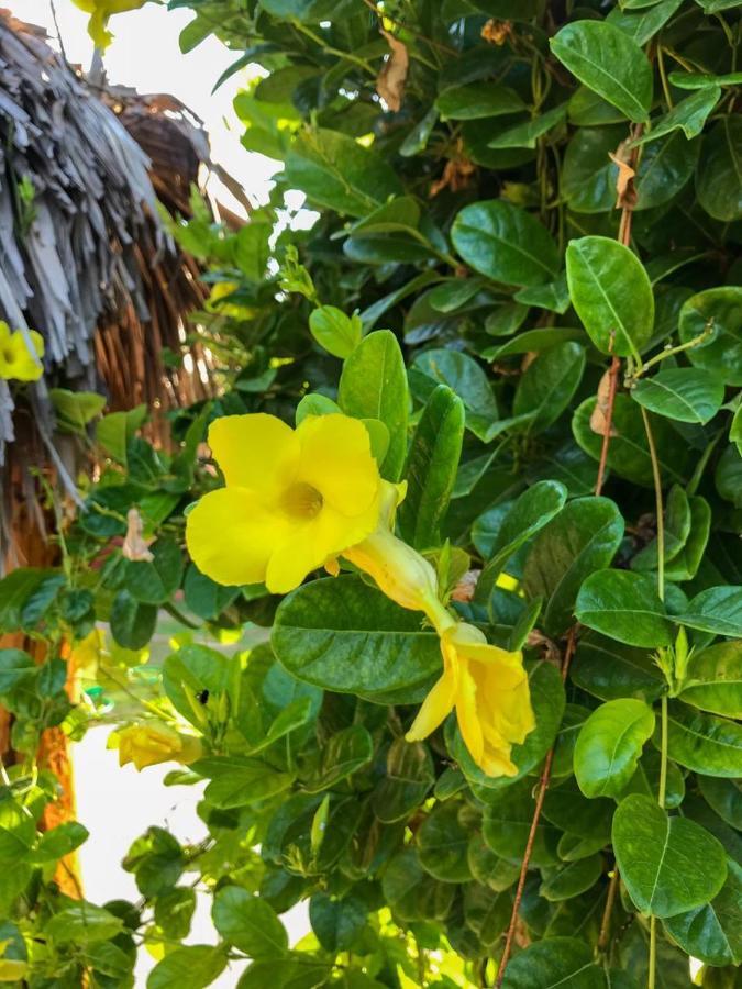 Pousada Aruna Kite Barra Grande  Dış mekan fotoğraf