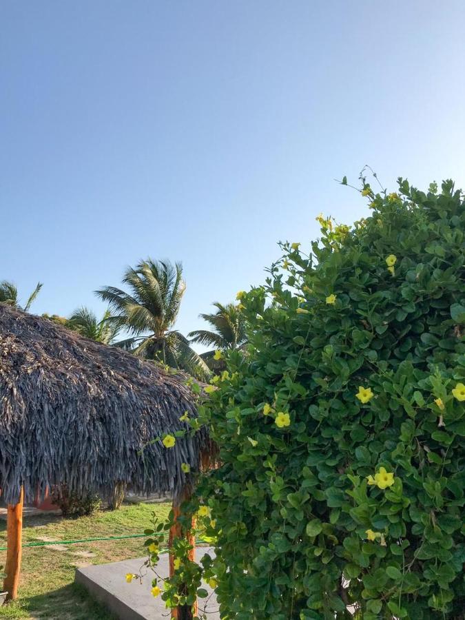 Pousada Aruna Kite Barra Grande  Dış mekan fotoğraf